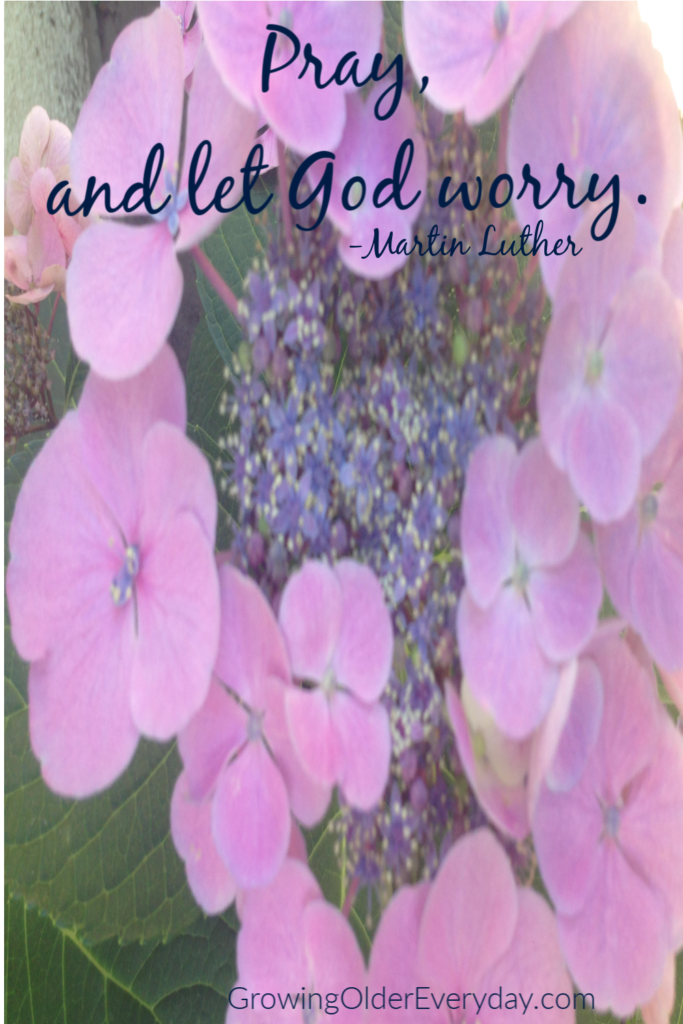Pray and let God Worry Hydrangea