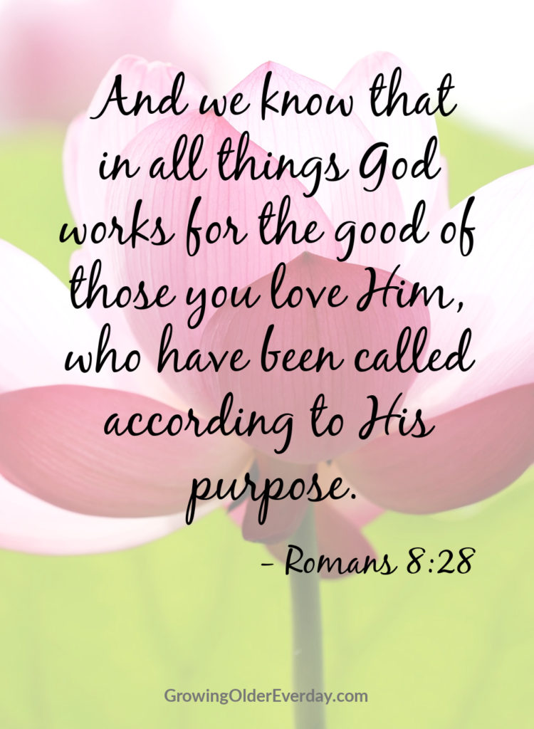 Romans 8:28