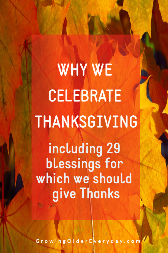 Why do we celebrate Thanksgiving anyway? - Enlightium Academy Blog