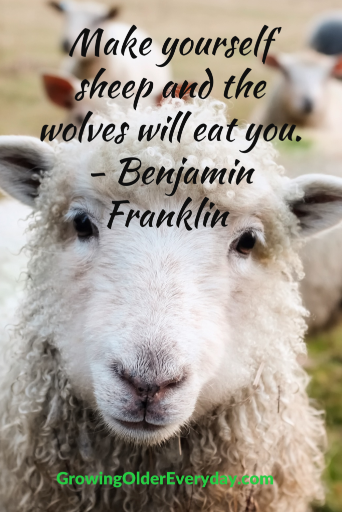 Make Yourself Sheep and the Wolves Will Eat You