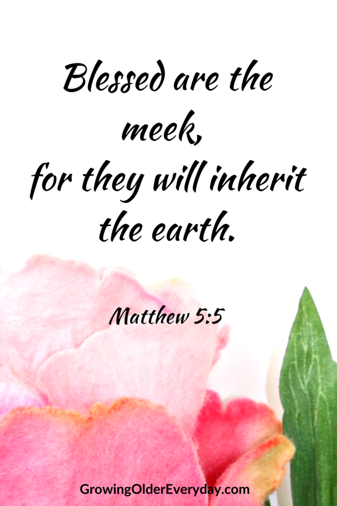 Beatitudes Blessed are the Meek