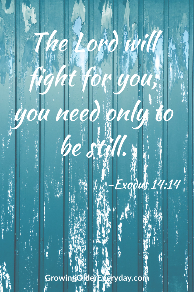 The Lord Will Fight for You 