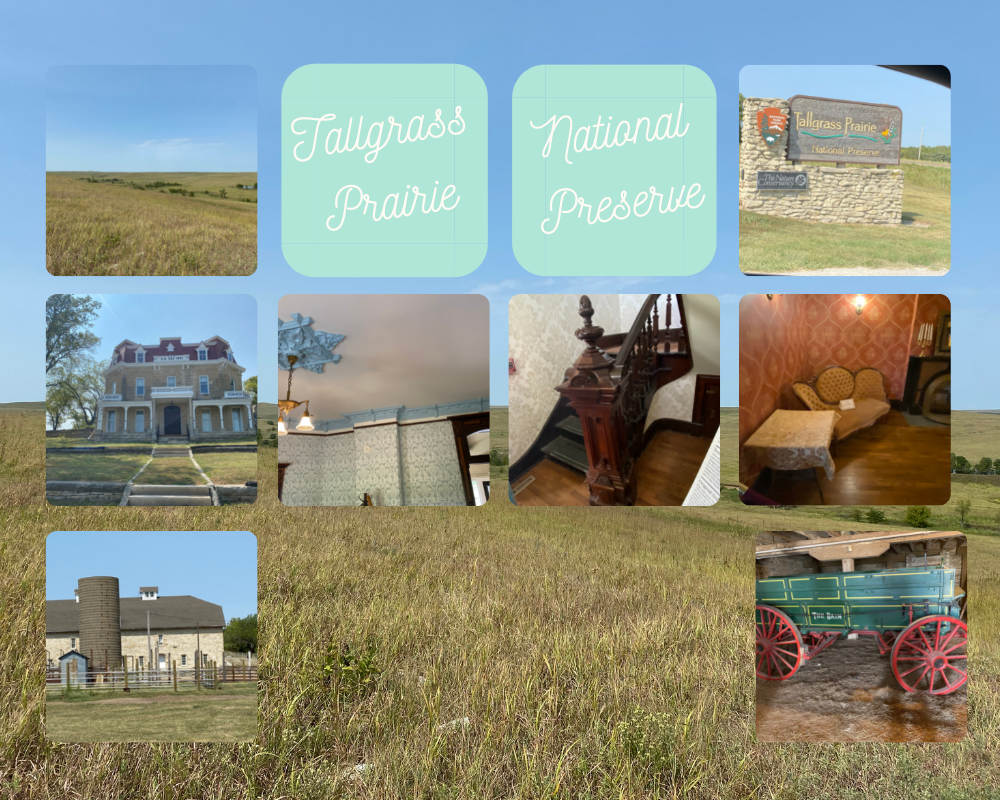 pictures of Tallgrass Prairie