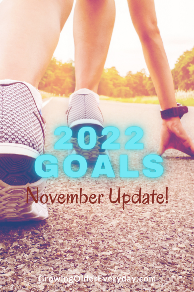 2022 Goals November update