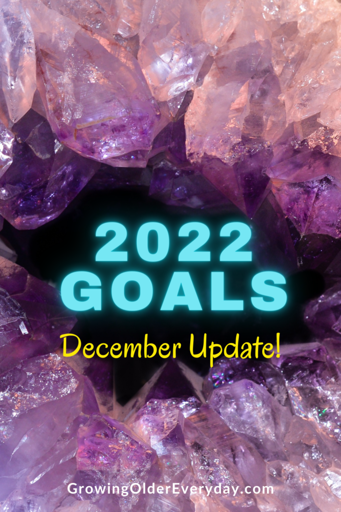 2022 Goals December Update
