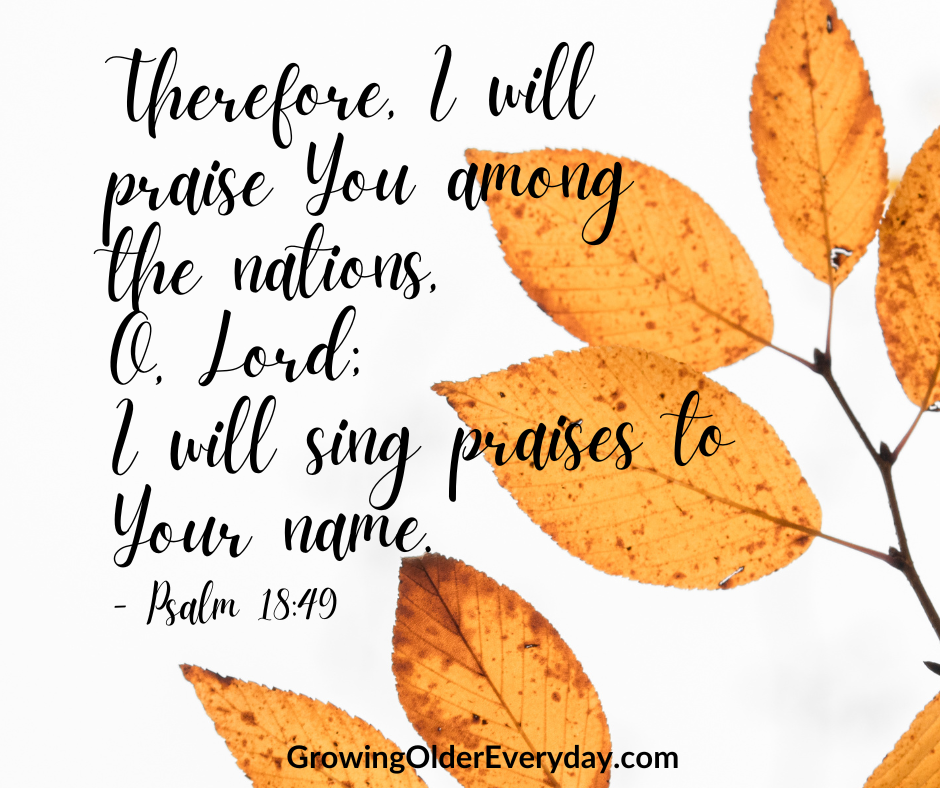 Bible verse of praise to God.  I will praise you among the nations.
