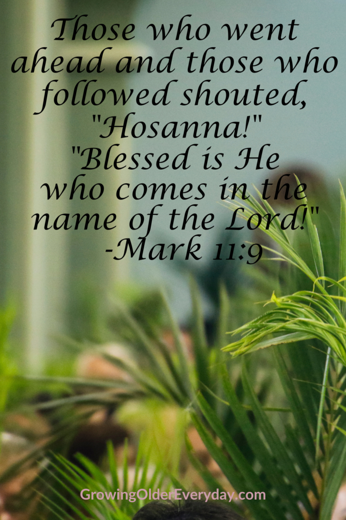 Hosanna! Blessed is He