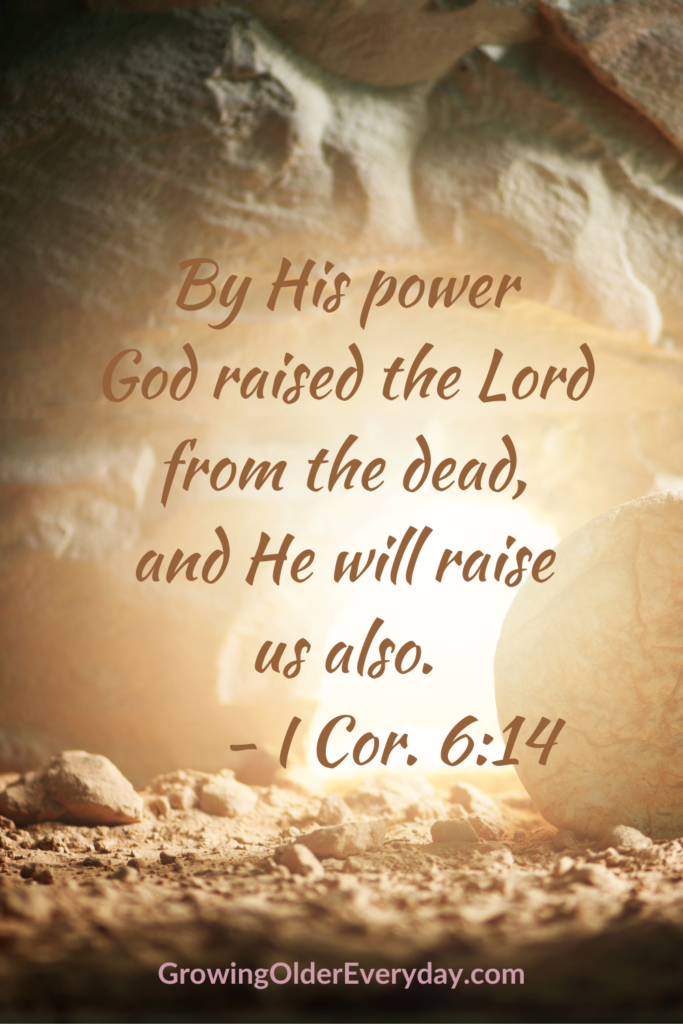 By His power God raise the Lord