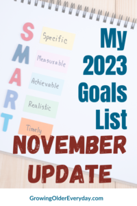 2023 November goals update