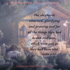 The Shepherds returned