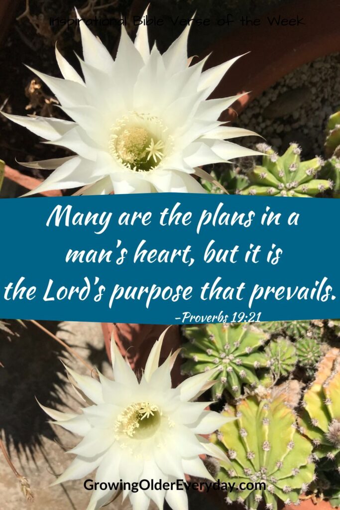 Bible Verse from Proverbs