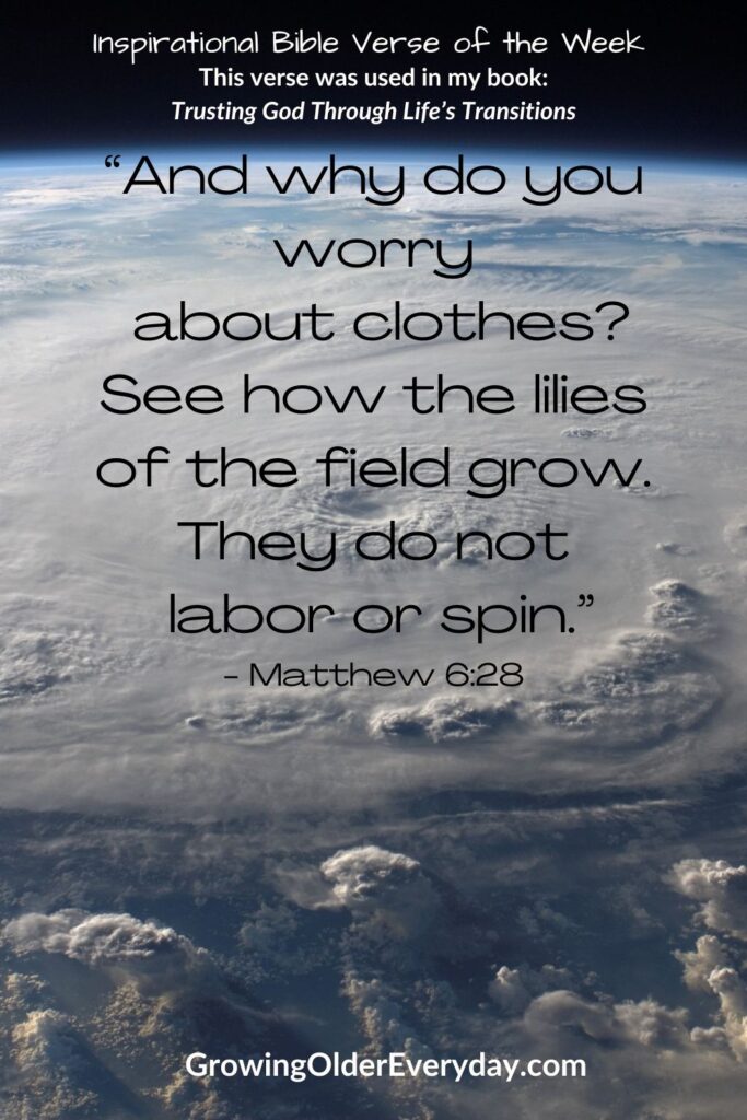 Matthew 6:28