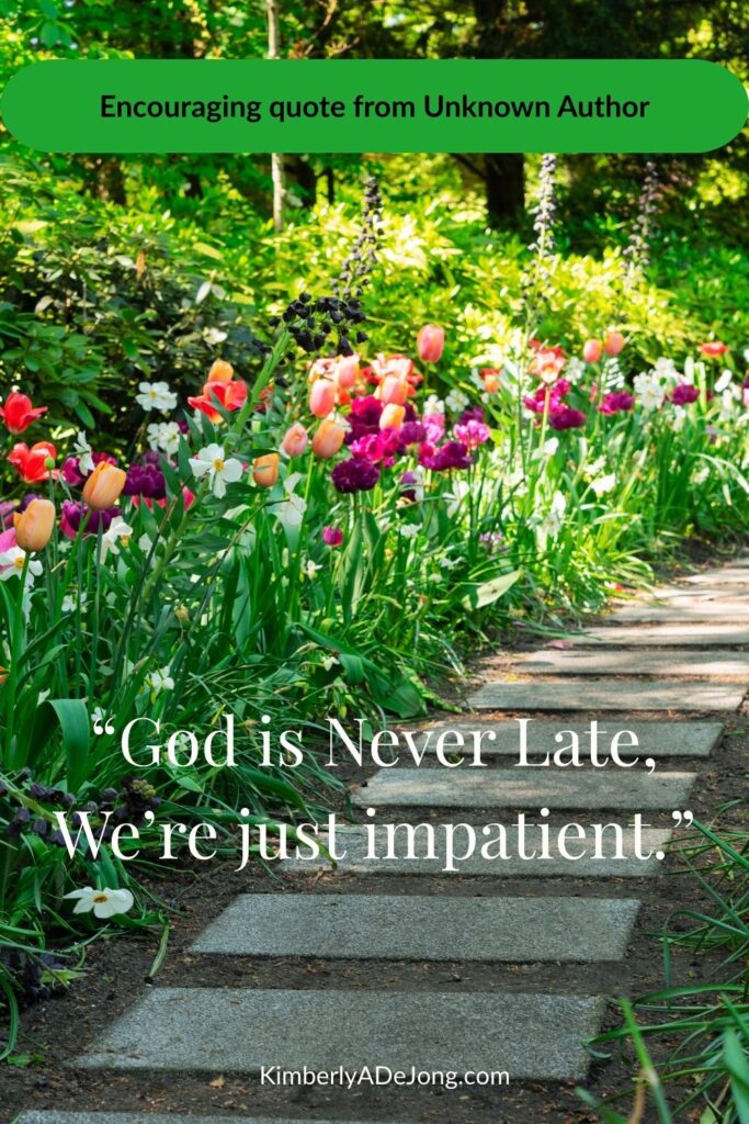 Quote from unknown author