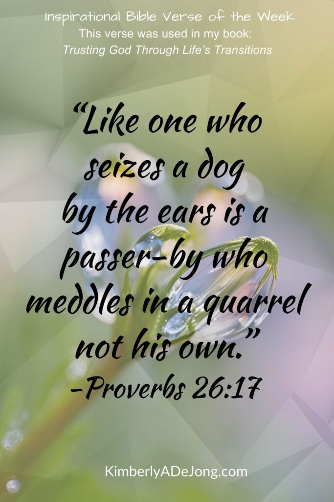 Bible verse Proverbs 26:17